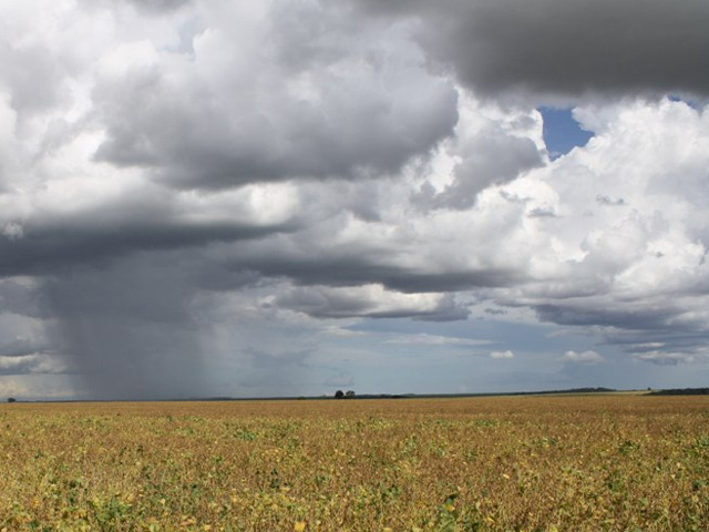 DTN&#039;s Market Weather comments have been telling us that in spite of South American crops getting off to a dry, shaky start, timely rains have come through for both Brazil and Argentina, and it appears USDA agrees. (DTN file photo by Alastair Stewart)